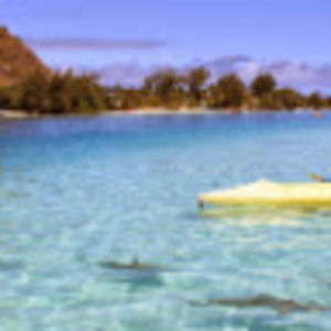 Meet your Posher, Karissa